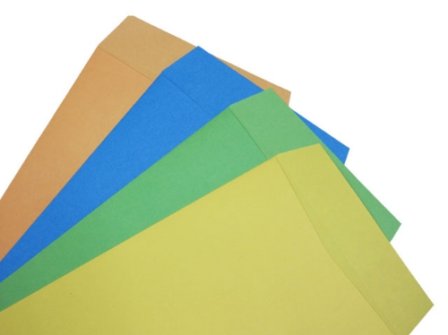 コニーラップカラー